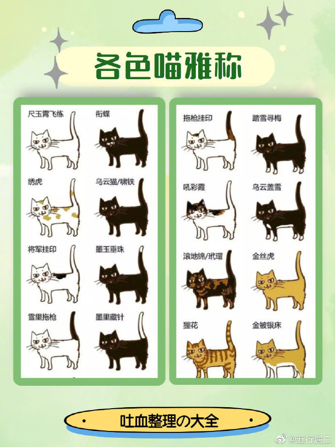 中华田园猫类别