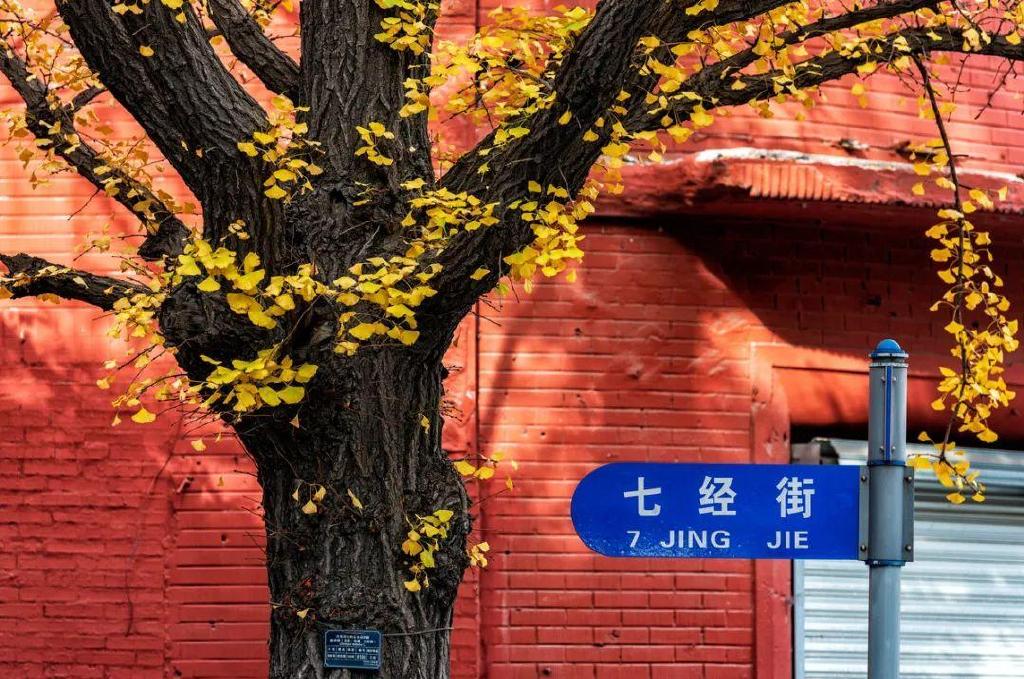 一个夏天都没出门？不如做一回“第一个看秋色的人”，可好？休闲区蓝鸢梦想 - Www.slyday.coM