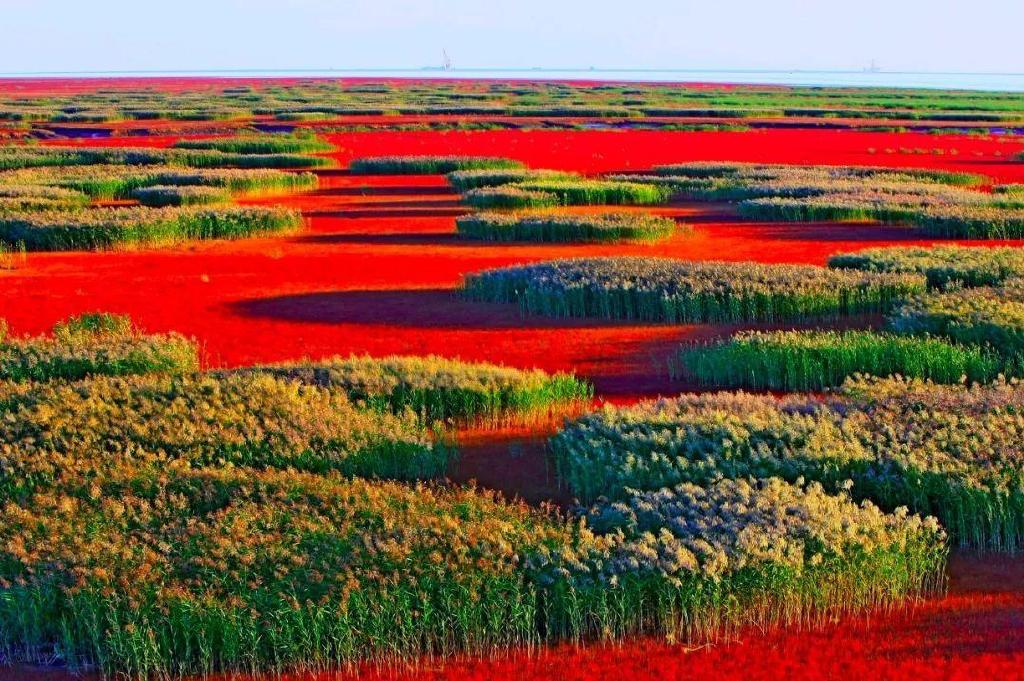 一个夏天都没出门？不如做一回“第一个看秋色的人”，可好？休闲区蓝鸢梦想 - Www.slyday.coM