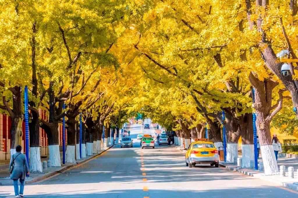 一个夏天都没出门？不如做一回“第一个看秋色的人”，可好？休闲区蓝鸢梦想 - Www.slyday.coM