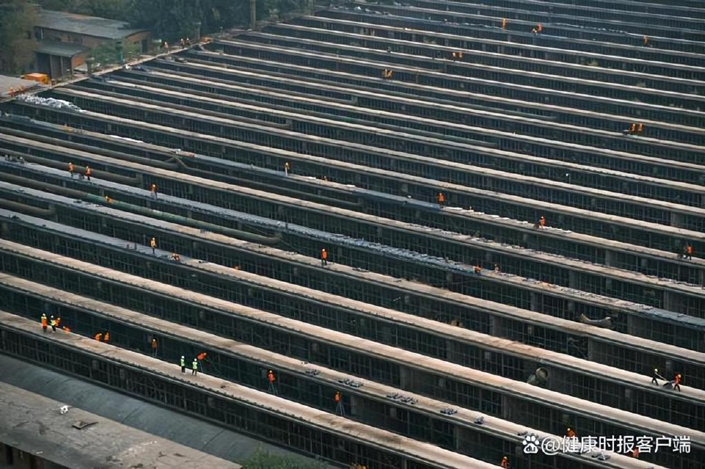 郑州在重点文物保护单位建方舱被叫停休闲区蓝鸢梦想 - Www.slyday.coM 郑州在重点文物保护单位建方舱被叫停休闲区蓝鸢梦想 - Www.slyday.coM