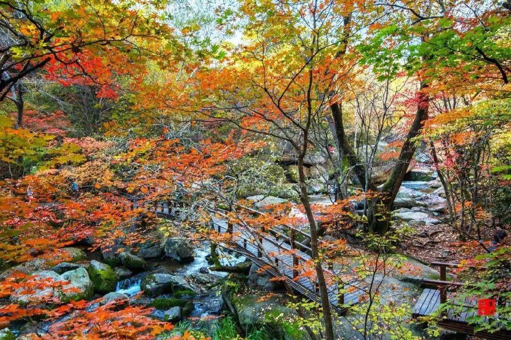 一个夏天都没出门？不如做一回“第一个看秋色的人”，可好？休闲区蓝鸢梦想 - Www.slyday.coM