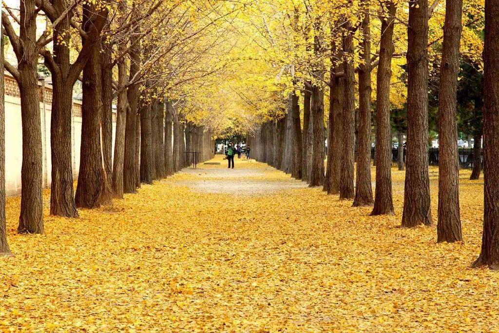 一个夏天都没出门？不如做一回“第一个看秋色的人”，可好？休闲区蓝鸢梦想 - Www.slyday.coM