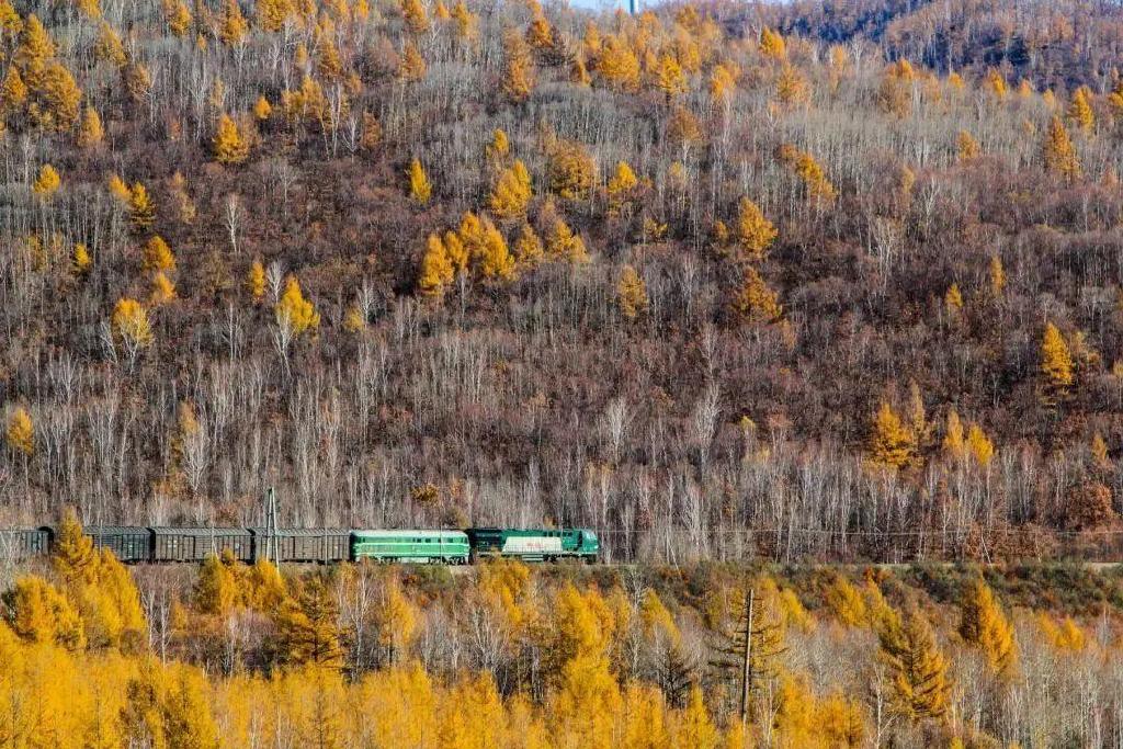 一个夏天都没出门？不如做一回“第一个看秋色的人”，可好？休闲区蓝鸢梦想 - Www.slyday.coM