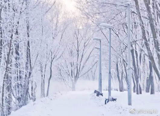 初冬.寒雪|寒风|帘幕|季节_新浪新闻