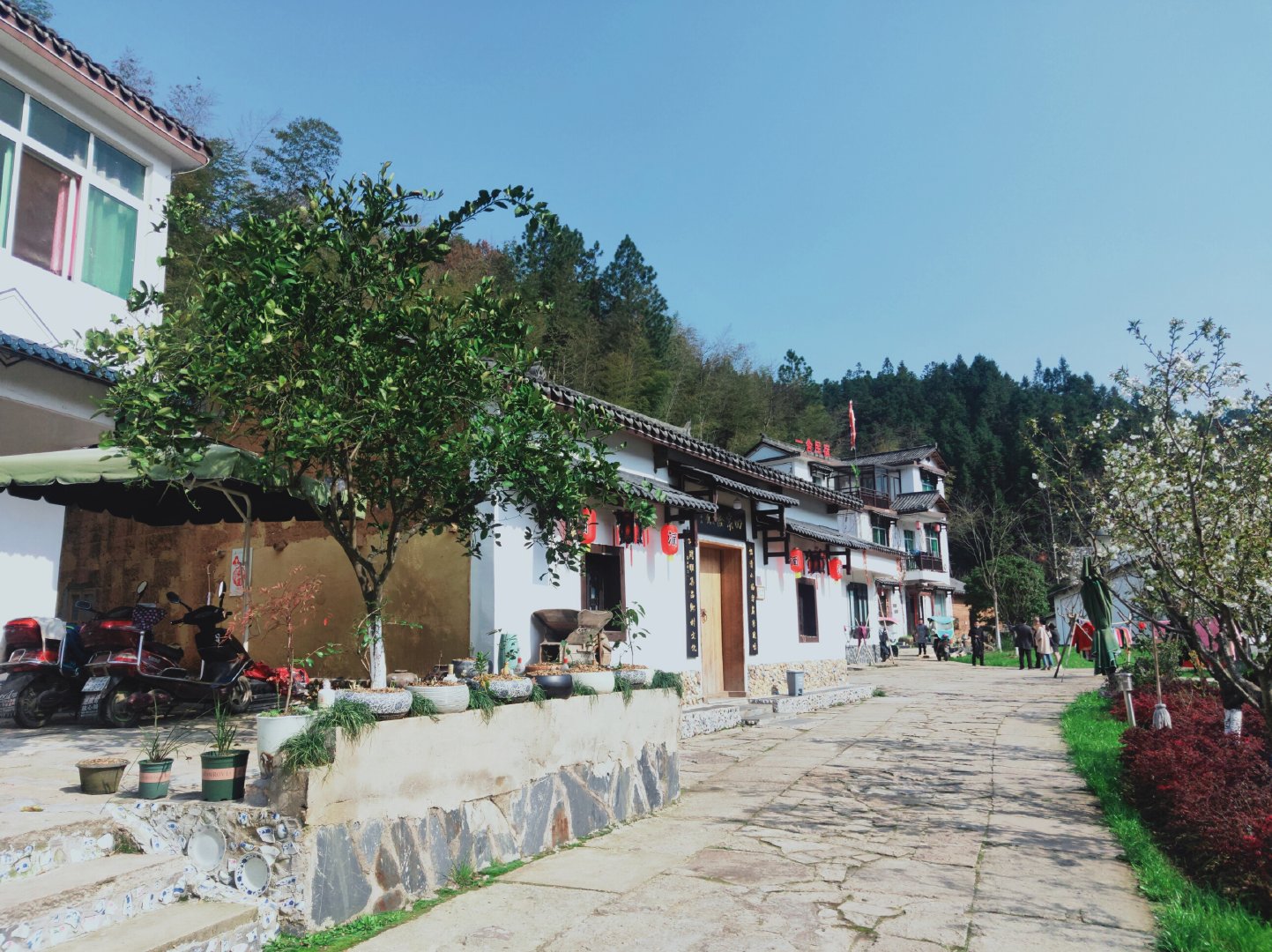 精准扶贫让贫困户受益 马鞍岭村的村民生活越来越好