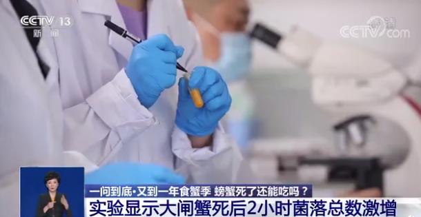中国水产研究院实验:螃蟹死后2小时、5小时、24小时的食用风险多高?休闲区蓝鸢梦想 - Www.slyday.coM 中国水产研究院实验:螃蟹死后2小时、5小时、24小时的食用风险多高?休闲区蓝鸢梦想 - Www.slyday.coM