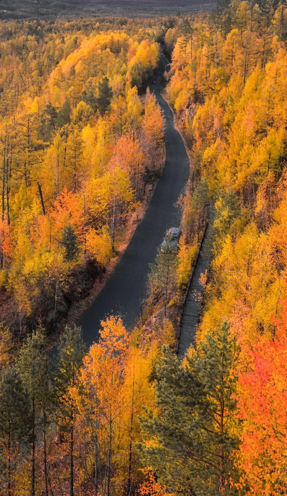 一个夏天都没出门？不如做一回“第一个看秋色的人”，可好？休闲区蓝鸢梦想 - Www.slyday.coM