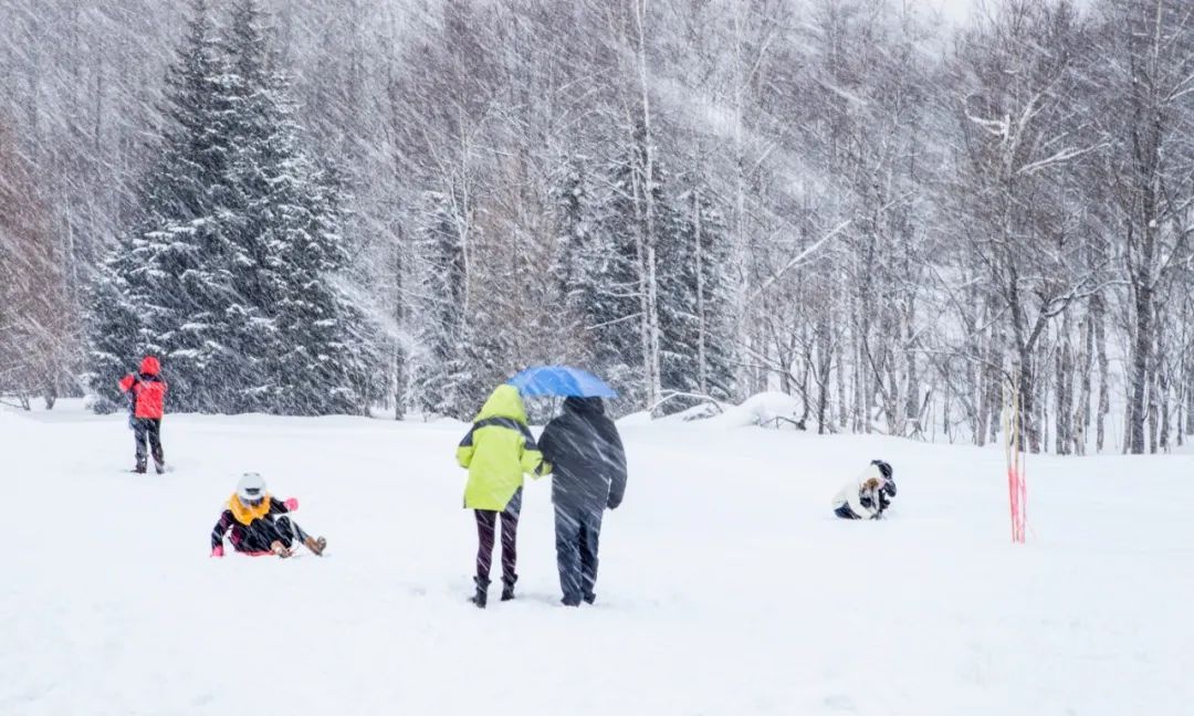 国外风光图片系列(5)——日本北海道(上)休闲区蓝鸢梦想 - Www.slyday.coM 国外风光图片系列(5)——日本北海道(上)休闲区蓝鸢梦想 - Www.slyday.coM