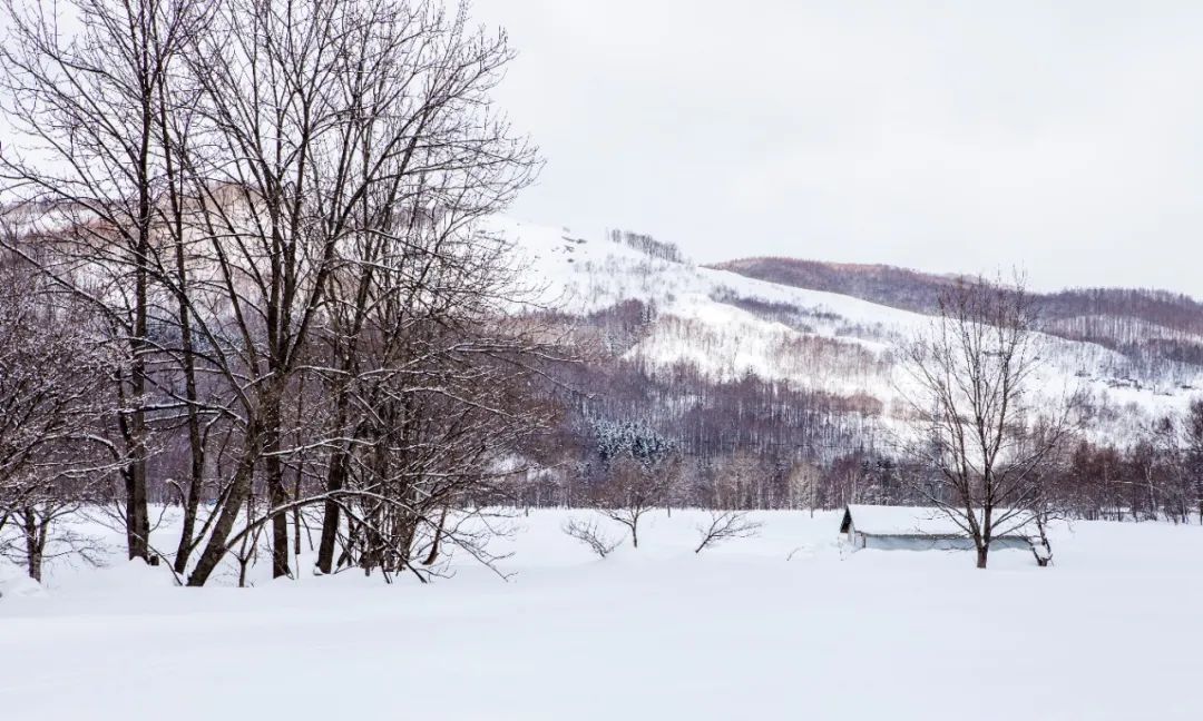 国外风光图片系列(5)——日本北海道(上)休闲区蓝鸢梦想 - Www.slyday.coM 国外风光图片系列(5)——日本北海道(上)休闲区蓝鸢梦想 - Www.slyday.coM