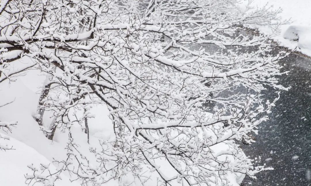 国外风光图片系列(5)——日本北海道(上)休闲区蓝鸢梦想 - Www.slyday.coM 国外风光图片系列(5)——日本北海道(上)休闲区蓝鸢梦想 - Www.slyday.coM