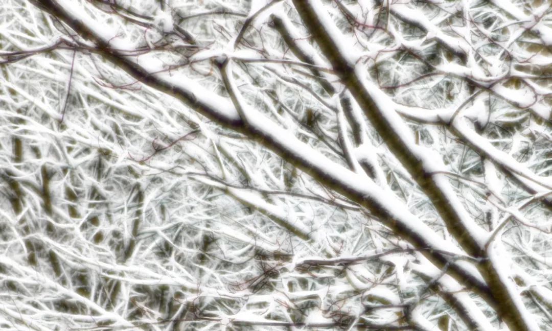 国外风光图片系列(5)——日本北海道(上)休闲区蓝鸢梦想 - Www.slyday.coM 国外风光图片系列(5)——日本北海道(上)休闲区蓝鸢梦想 - Www.slyday.coM