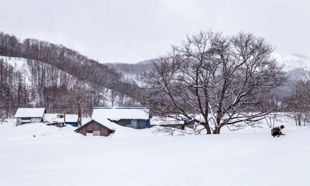 国外风光图片系列(5)——日本北海道(上)休闲区蓝鸢梦想 - Www.slyday.coM 国外风光图片系列(5)——日本北海道(上)休闲区蓝鸢梦想 - Www.slyday.coM