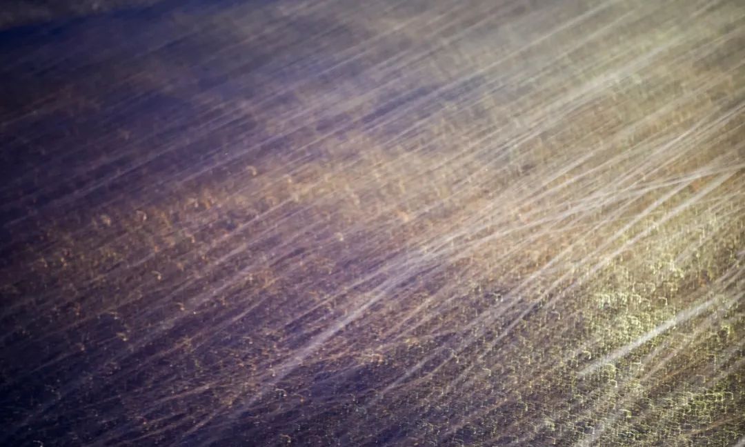 国外风光图片系列(5)——日本北海道(上)休闲区蓝鸢梦想 - Www.slyday.coM 国外风光图片系列(5)——日本北海道(上)休闲区蓝鸢梦想 - Www.slyday.coM