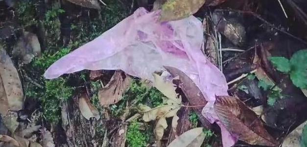 哀牢山4名地质人员遇难原因疑曝光：或受当地的磁场干扰造成迷路休闲区蓝鸢梦想 - Www.slyday.coM