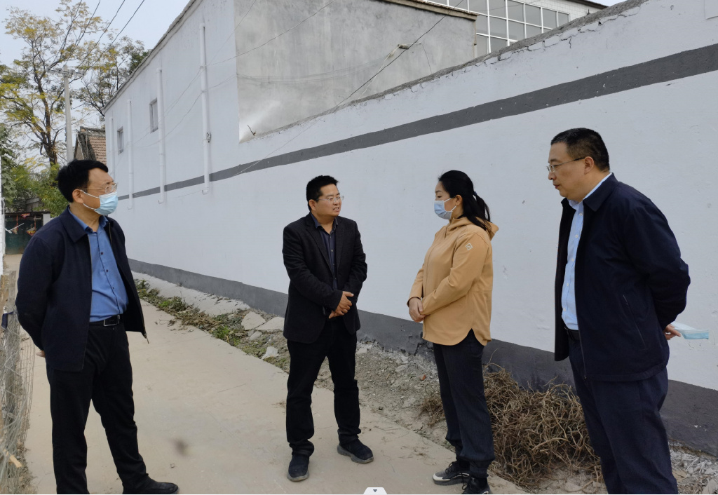 柘城县委副书记蒋云兰调研省级示范村整治提升工作|柘城|示范村|县委