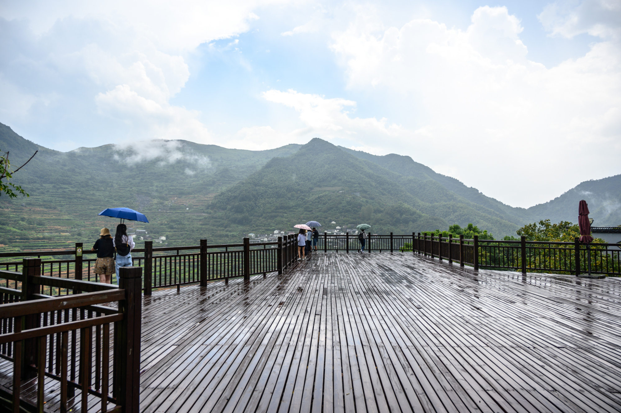 绍兴上虞覆卮山有一片千年梯田,数量多达2.3万块,门票免费|上虞|梯田|