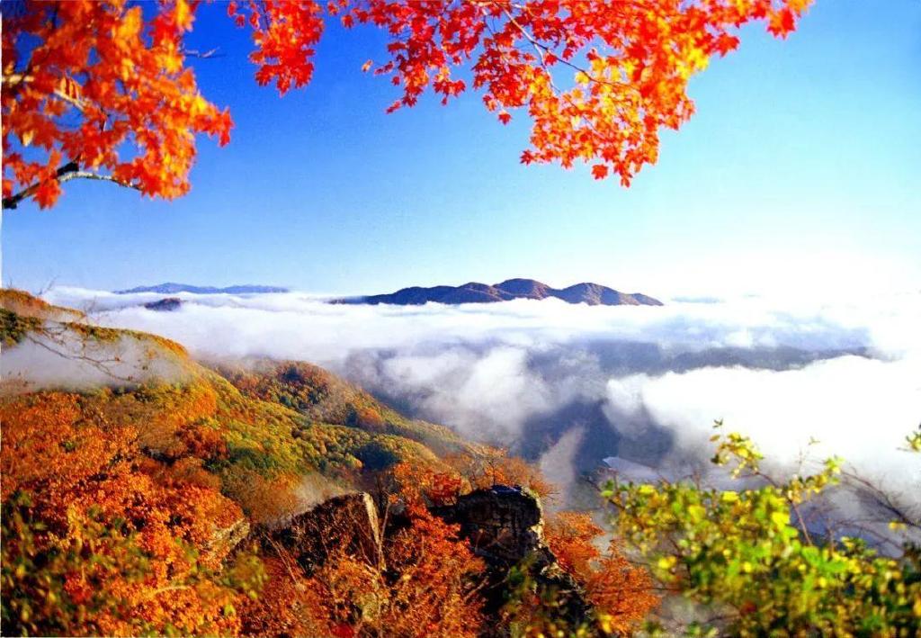 一个夏天都没出门？不如做一回“第一个看秋色的人”，可好？休闲区蓝鸢梦想 - Www.slyday.coM