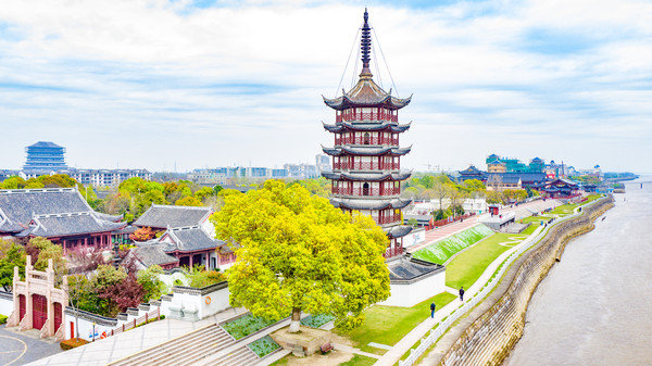 海宁| 纵览千年盐官古城 ,赏天下奇观钱江潮,看百里钱塘樱花林