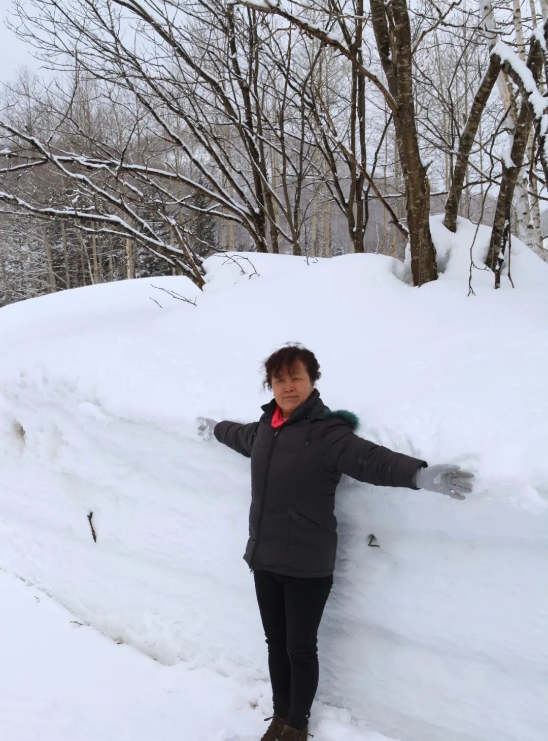 国外风光图片系列(5)——日本北海道(上)休闲区蓝鸢梦想 - Www.slyday.coM 国外风光图片系列(5)——日本北海道(上)休闲区蓝鸢梦想 - Www.slyday.coM