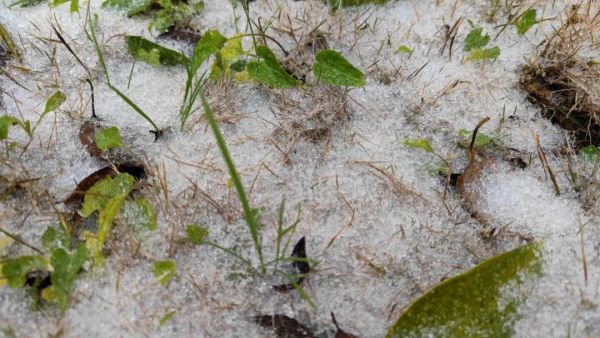 福州下雪啦！一觉醒来，真的下雪了！休闲区蓝鸢梦想 - Www.slyday.coM