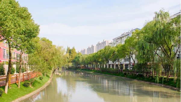 打造水清岸绿新画卷,上海市浦东新区北蔡镇全面强化河道整治工作|浦东新区|北蔡镇|水质_新浪新闻