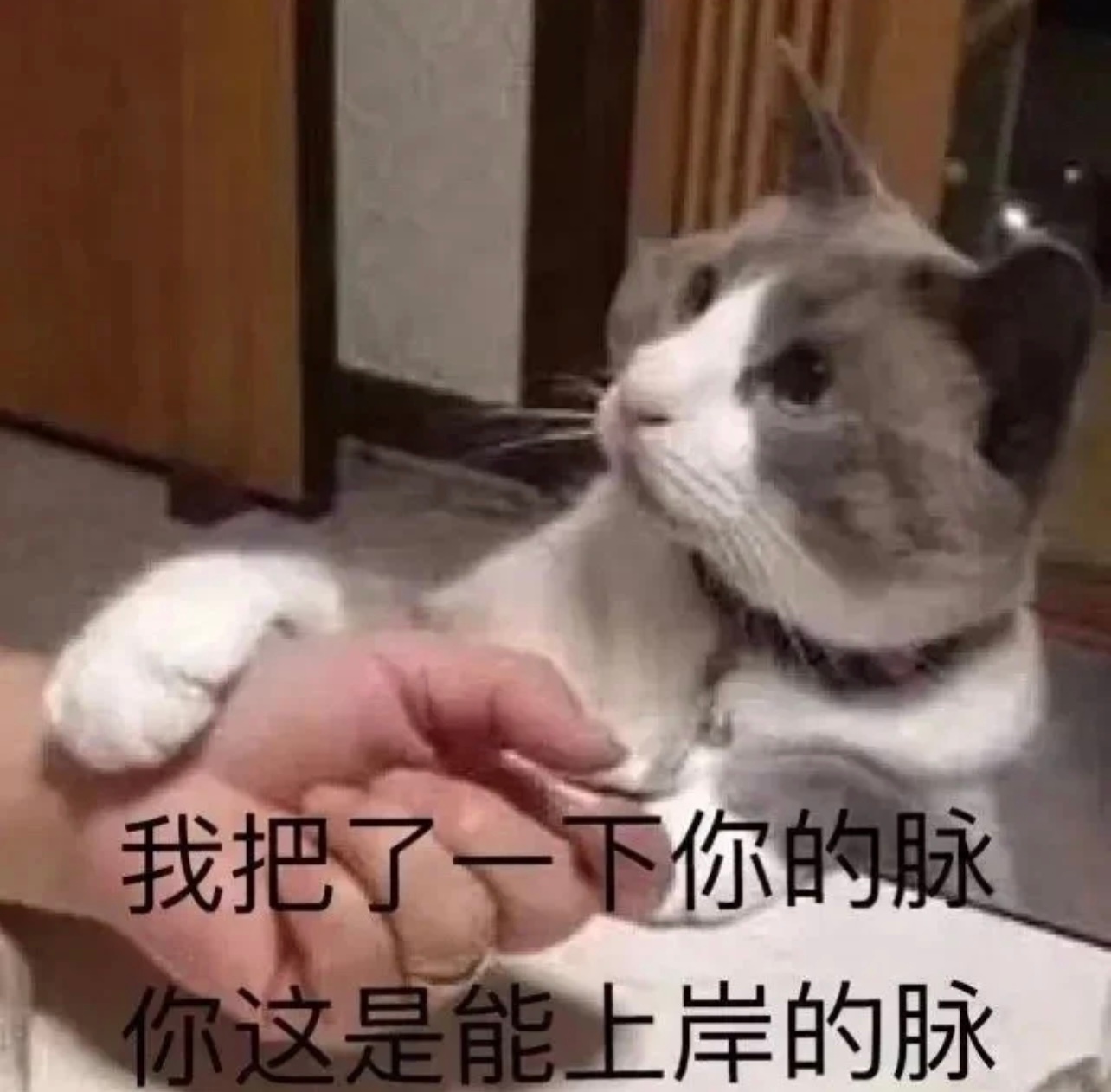 看到这条微博的你,统统可以上岸 分享一波上岸表情包_高清图集_新浪网