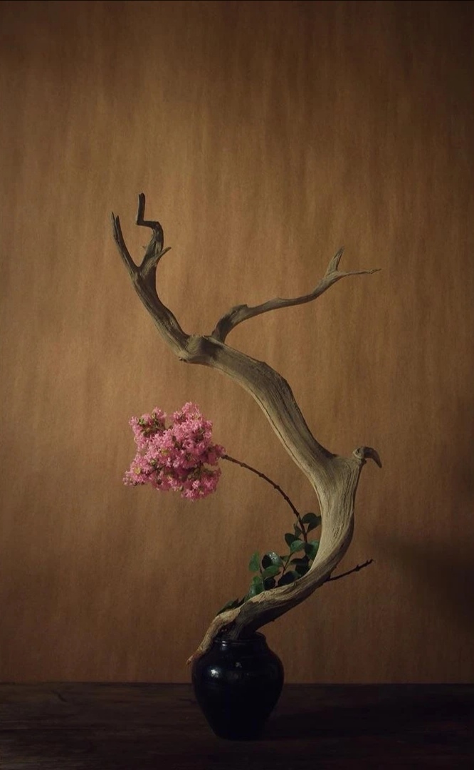 " 禅意插花 … "_高清图集_新浪网