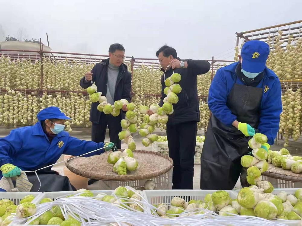 重庆铜梁白羊镇现代化咸菜加工厂投用乡村振兴走上快车道