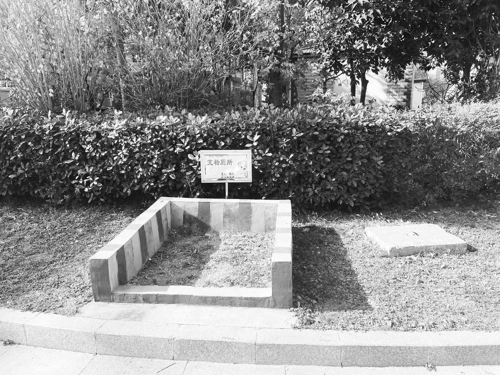 恶犬伤人事件引发广泛关注。菏泽养犬现状如何?记者为此进行深入调查休闲区蓝鸢梦想 - Www.slyday.coM 恶犬伤人事件引发广泛关注。菏泽养犬现状如何?记者为此进行深入调查休闲区蓝鸢梦想 - Www.slyday.coM