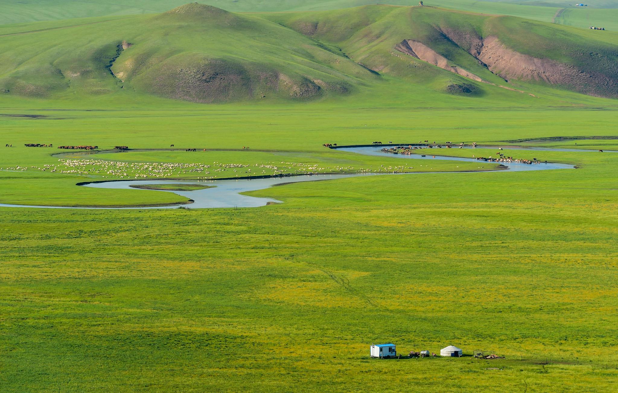 (环境)盛夏莫日格勒河