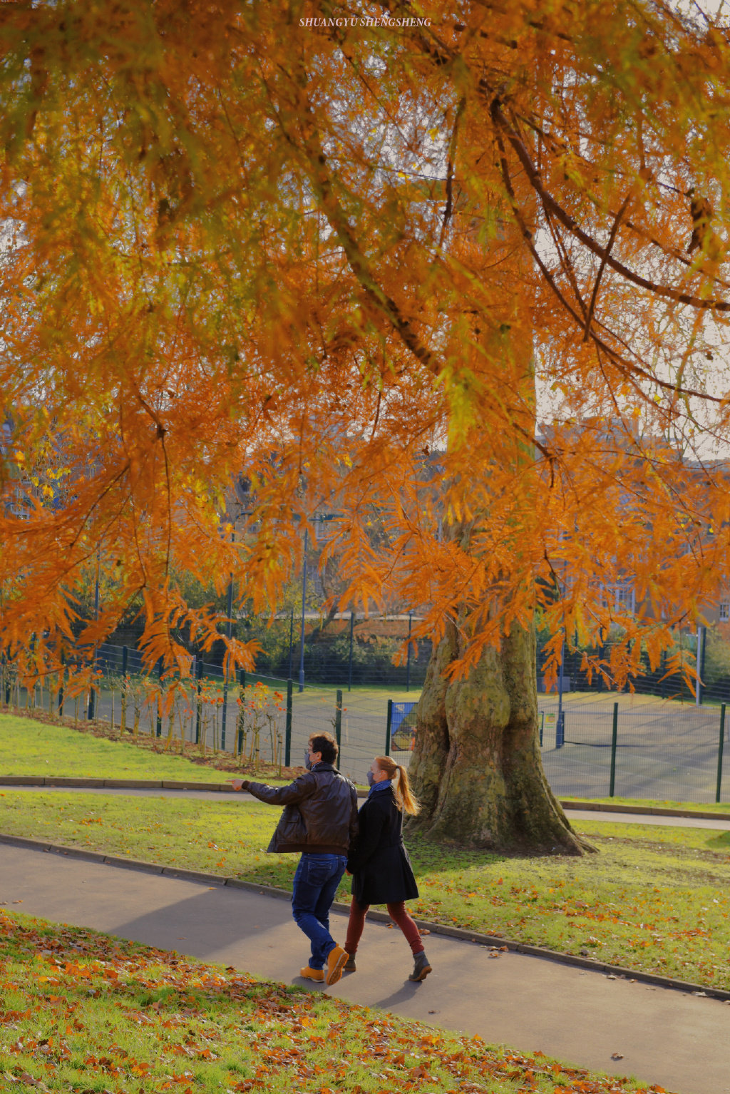生活的浪漫藏在细节里 推荐