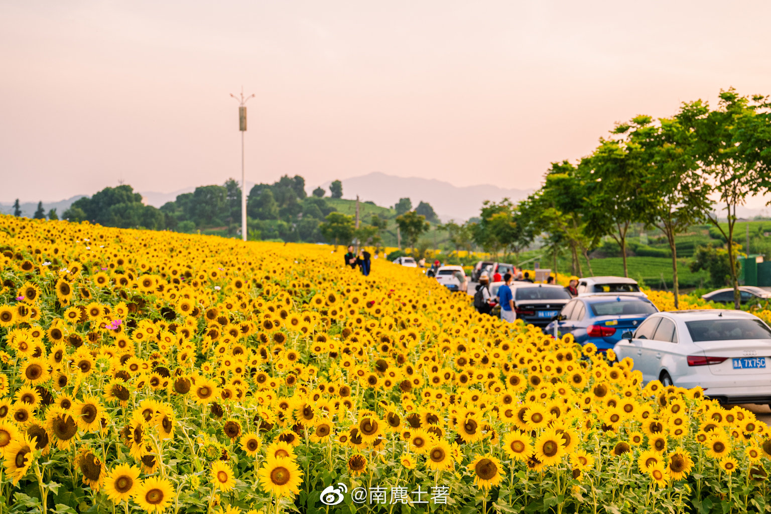 最近有消息称：转塘休闲快餐100元2025年转塘休闲快餐100元价格与品质分析