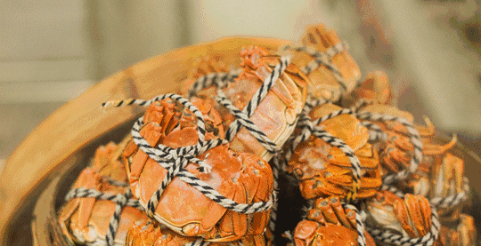 中国水产研究院实验:螃蟹死后2小时、5小时、24小时的食用风险多高?休闲区蓝鸢梦想 - Www.slyday.coM 中国水产研究院实验:螃蟹死后2小时、5小时、24小时的食用风险多高?休闲区蓝鸢梦想 - Www.slyday.coM