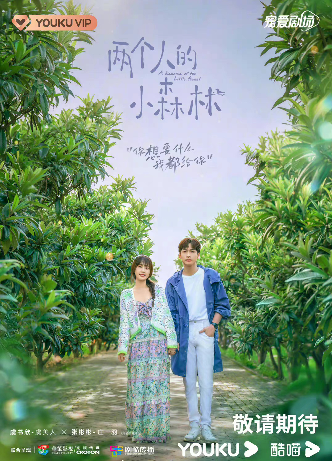 虞书欣张彬彬两个人的小森林新海报