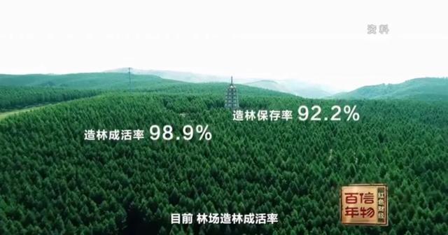 信物百年 | 塞罕坝机械林场“出生证”,开启三代造林人的“绿色奇迹”!|机械|塞罕坝|林场_新浪新闻