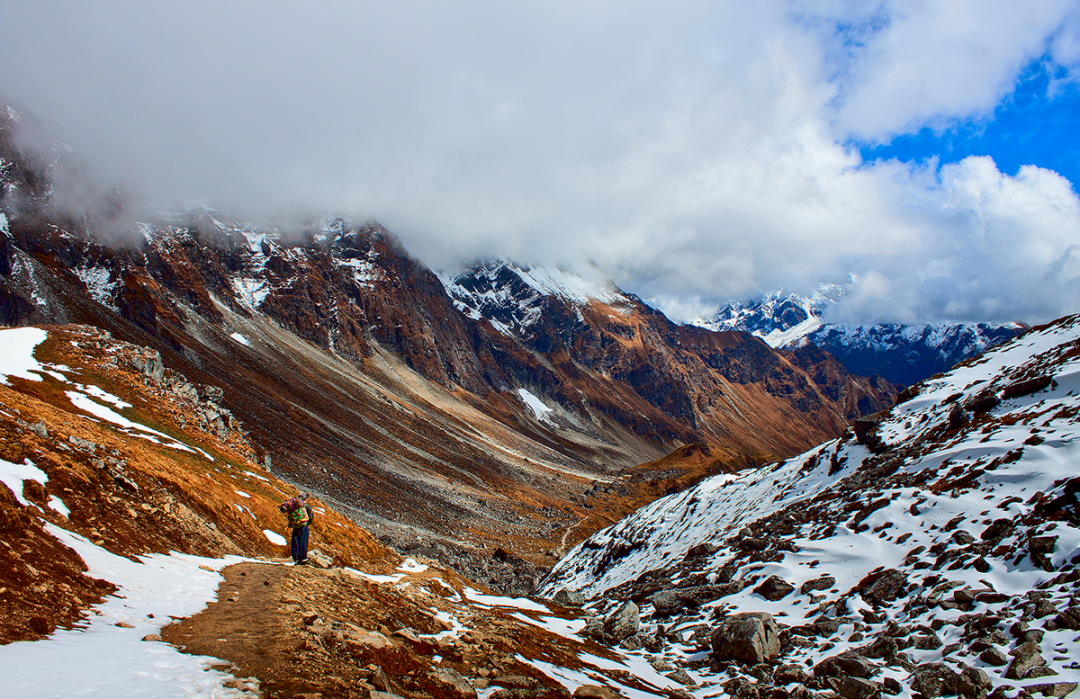 岩须:我年纪还小,还不到两千万岁|真菌|高原_新浪新闻