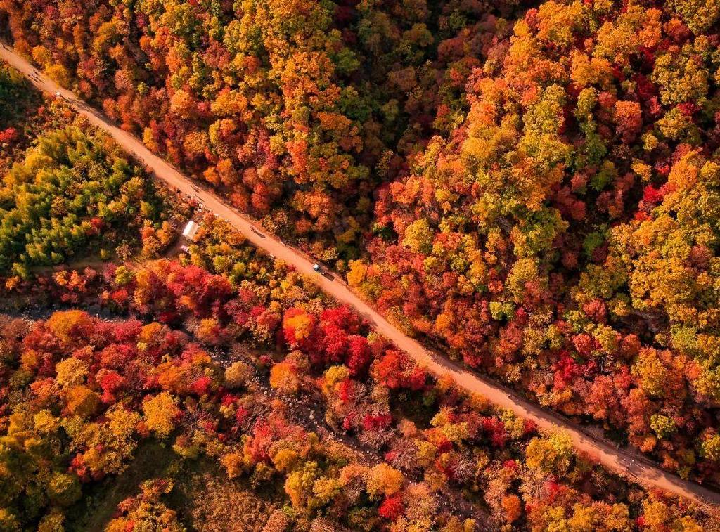 一个夏天都没出门？不如做一回“第一个看秋色的人”，可好？休闲区蓝鸢梦想 - Www.slyday.coM