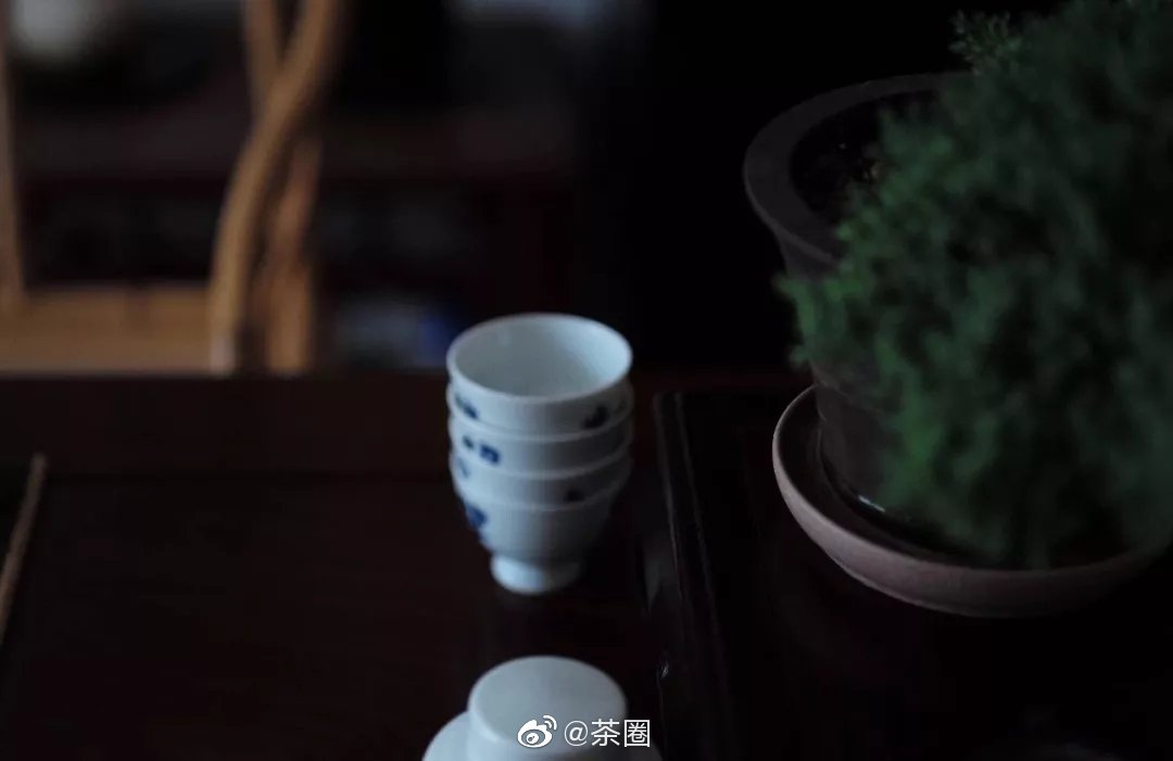 春花开时