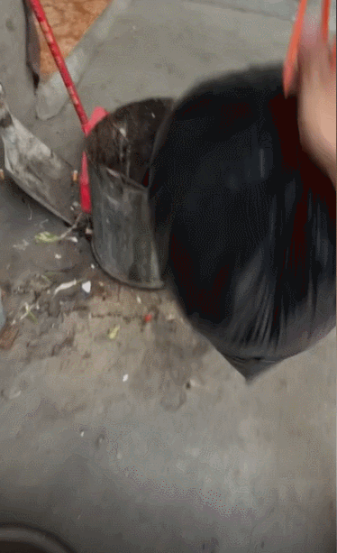 “垫底辣孩”一个月涨粉530万！美男变装？No！评论区才是喜剧！休闲区蓝鸢梦想 - Www.slyday.coM