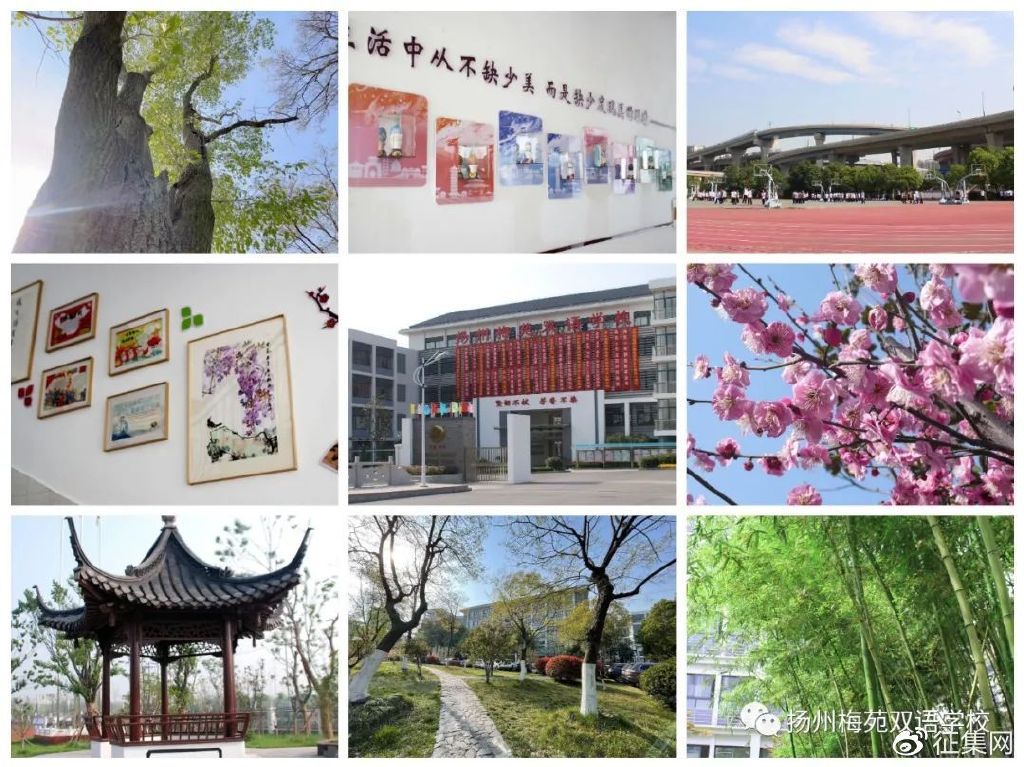 扬州市邗江区梅苑双语学校征集新校徽logo诚邀您的参与