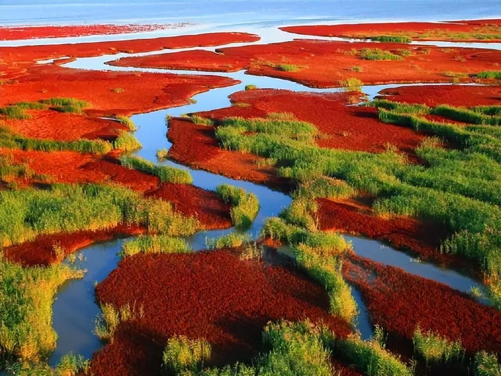 一个夏天都没出门？不如做一回“第一个看秋色的人”，可好？休闲区蓝鸢梦想 - Www.slyday.coM