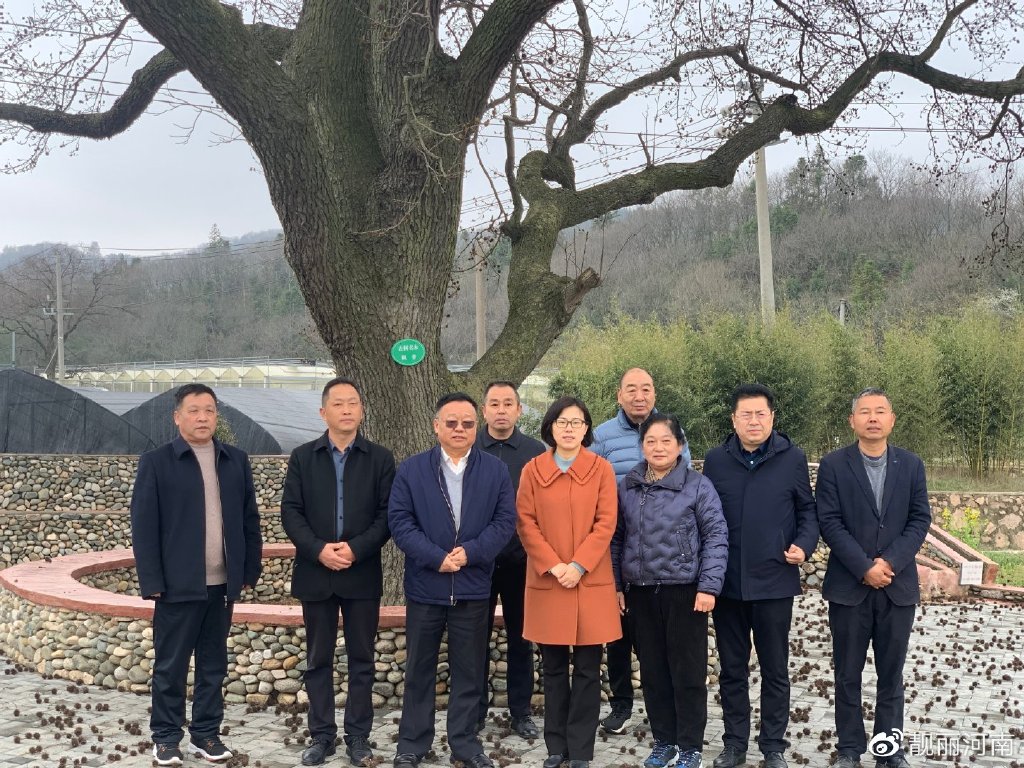 新县企业建站_(新县有哪些建筑工程公司)