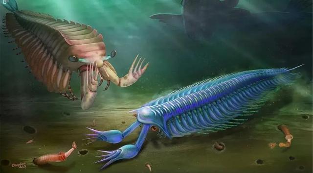 艺术与科学的碰撞带你走近古生物复原图的世界复原图画师杨定华专访