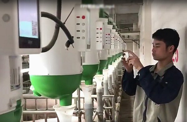 扬翔股份闯关IPO神操作：招股前多次大手笔分