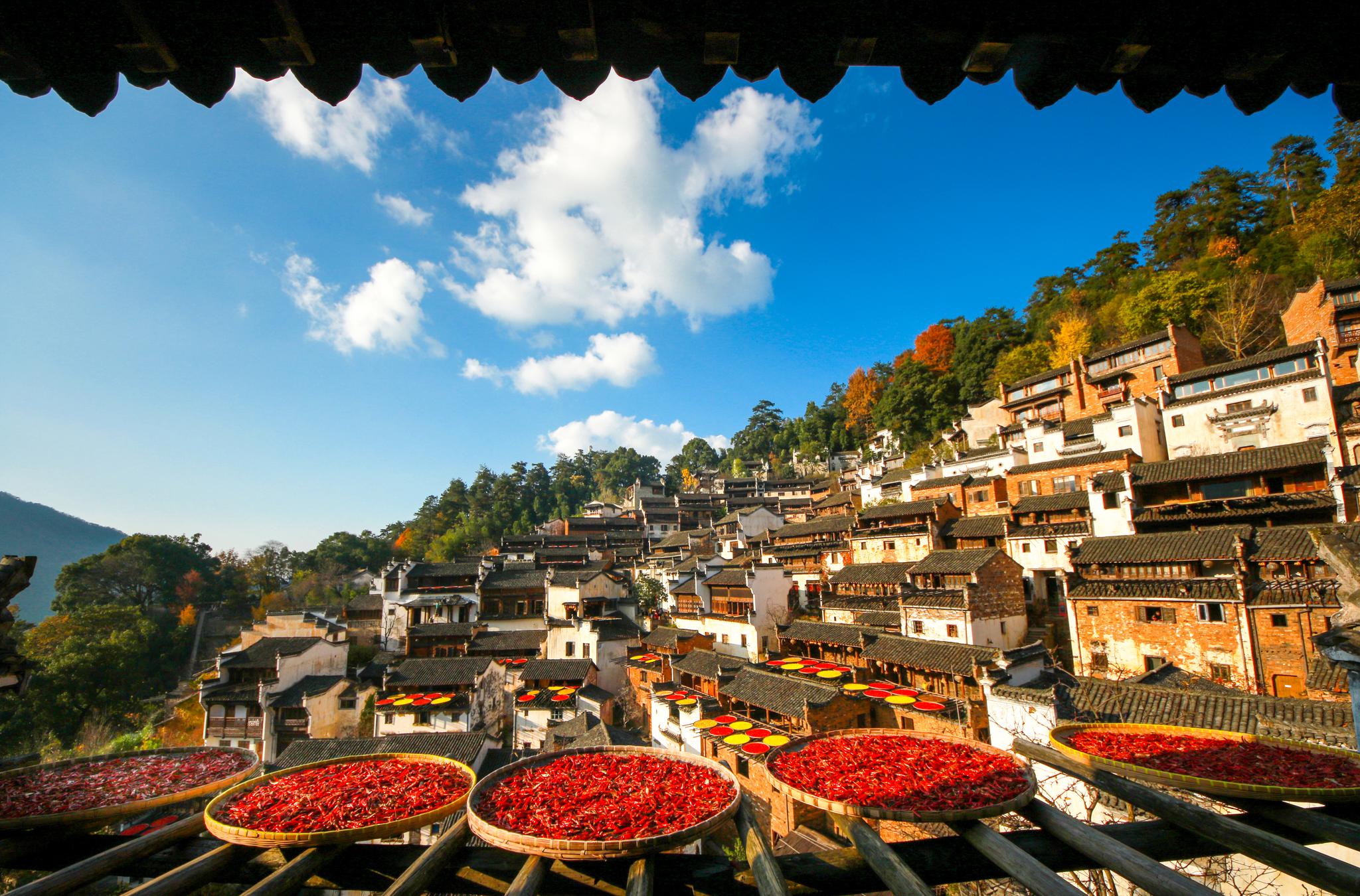 从立秋节气开始,江西婺源篁岭古村的晒秋大戏登场