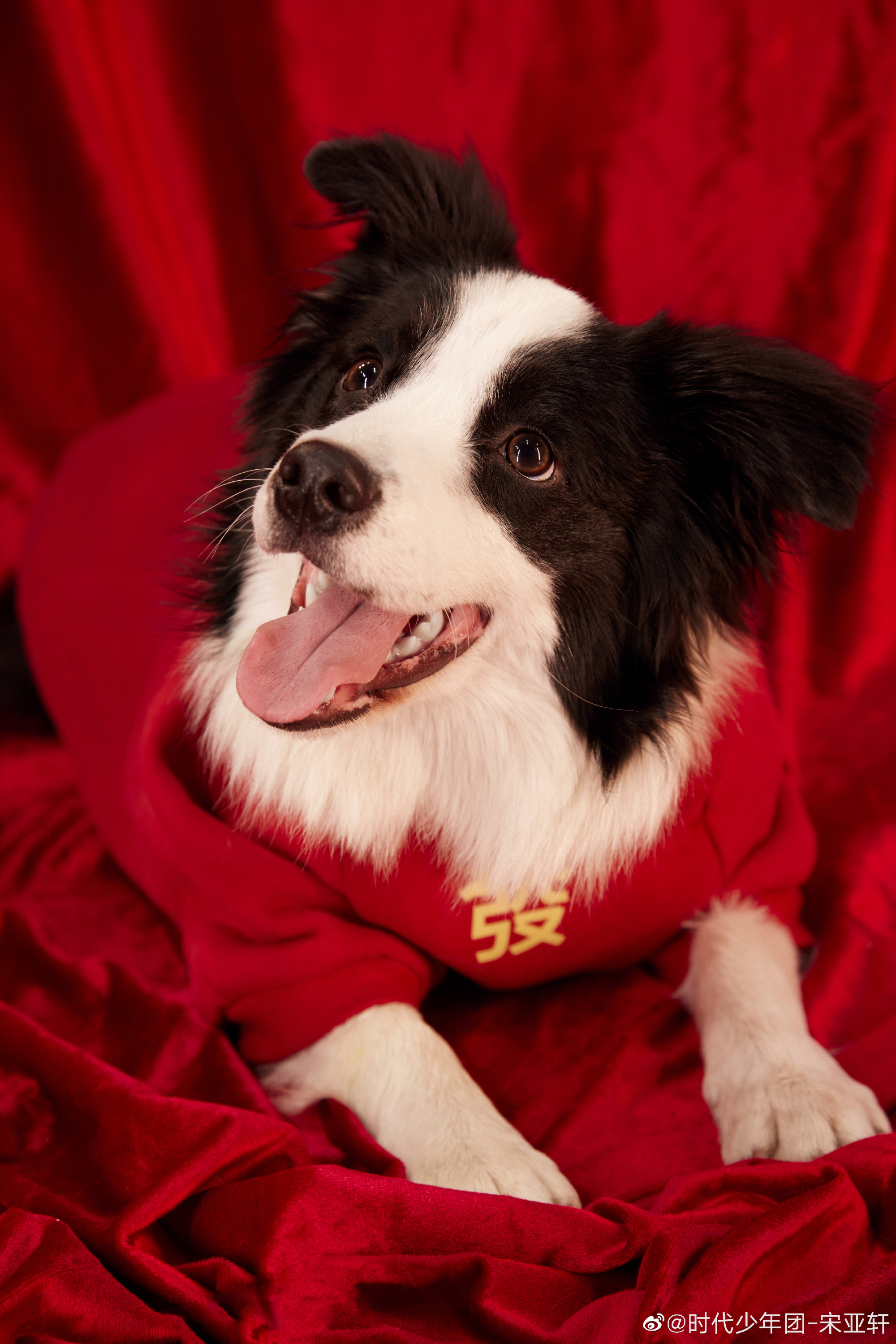 宋亚轩分享和鼠标新年写真～……__财经头条