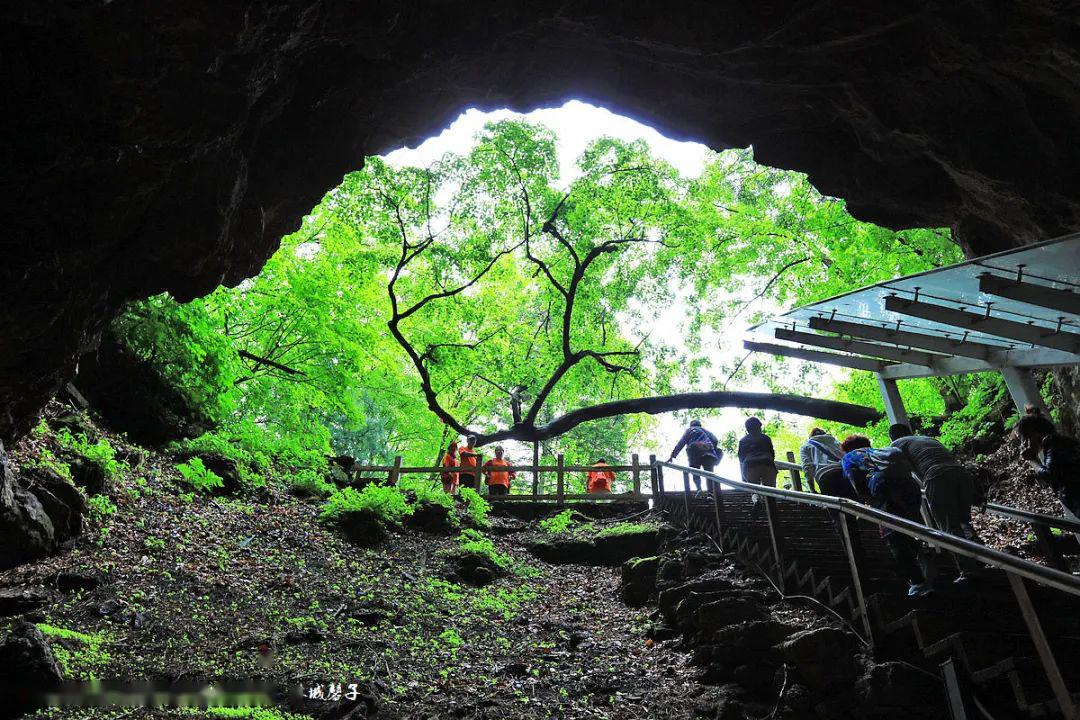 相约镜泊湖地下森林,漫步在火山口与鸳鸯池畔