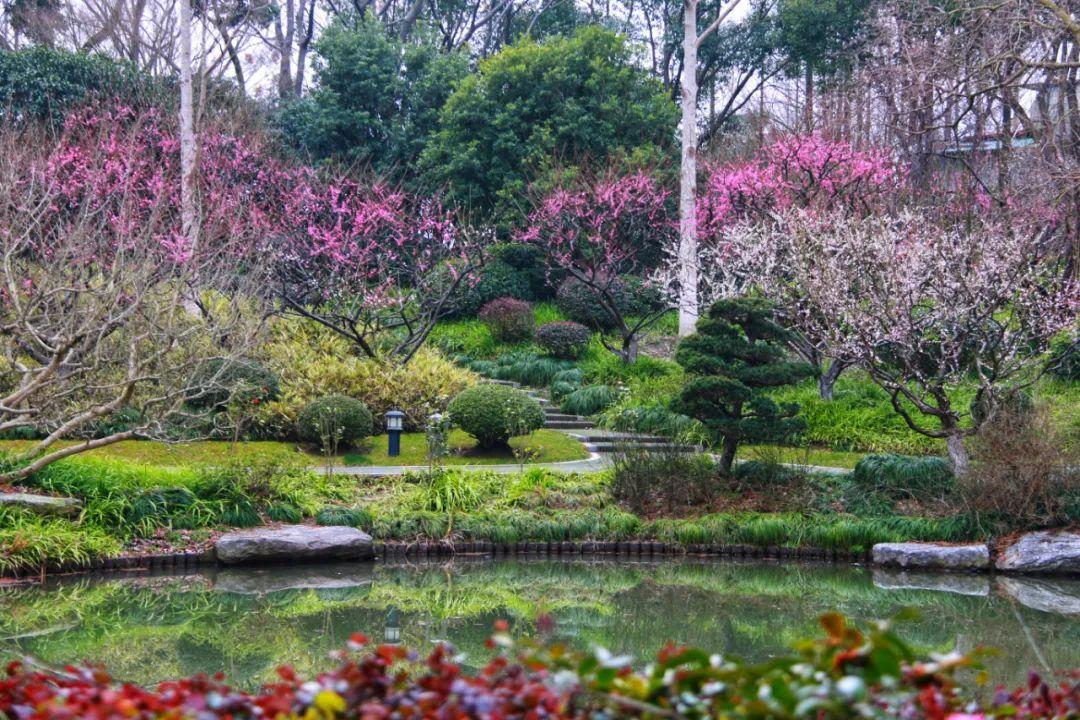 本市公园特色植物区获奖名单出炉闵行这两个公园上榜