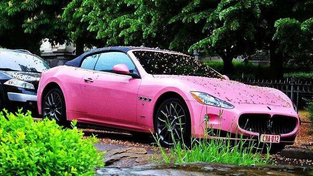 男生斥巨资把车改成"豪车",女生:有粉色玛莎好看吗?